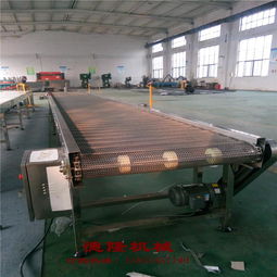 德隆工廠直銷 不銹鋼網(wǎng)帶傳送帶自動(dòng)化輸送設(shè)備，食品專用解決方案